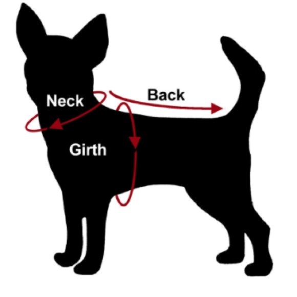 Nwt Dog harness with matching hat girth 18-20 - Picture 7 of 7